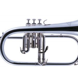 Fliscorno FG-500S