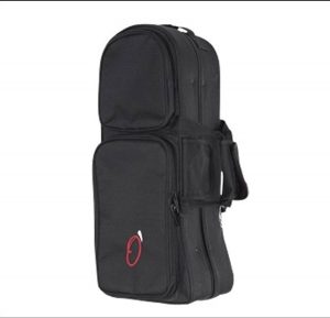 Estuche Styrofoam Trompeta