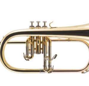 Fliscorno FG-500