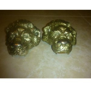 Dragonas Leon